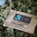Boveda