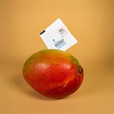 Integra Boost TERPENE MYRCENE 4g - 62%