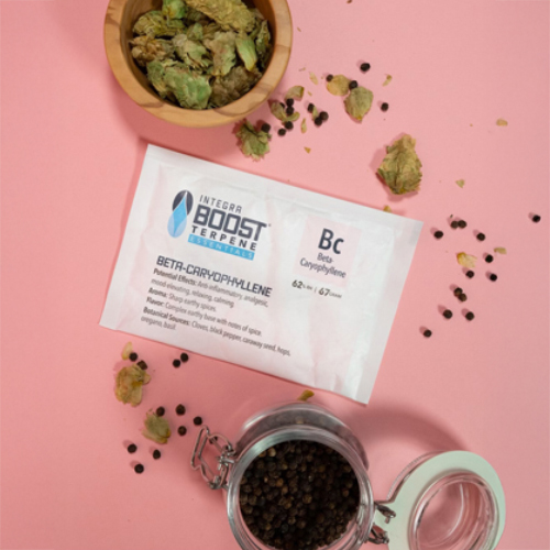 Integra Boost TERPEN CARIOPHYLEN 67 g – 62 % relative Luftfeuchtigkeit